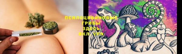 герыч Бугульма