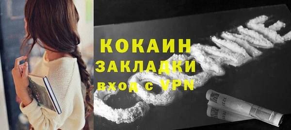 винт Богданович