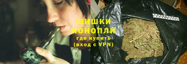 PSILOCYBIN Богородицк